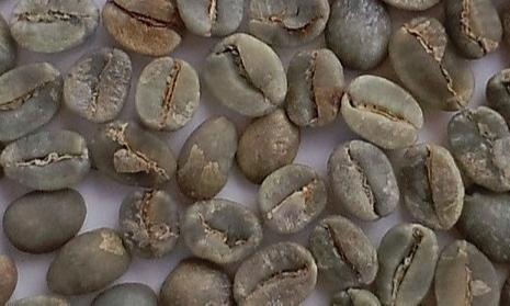 Good - Coffee Beans - Green/Raw