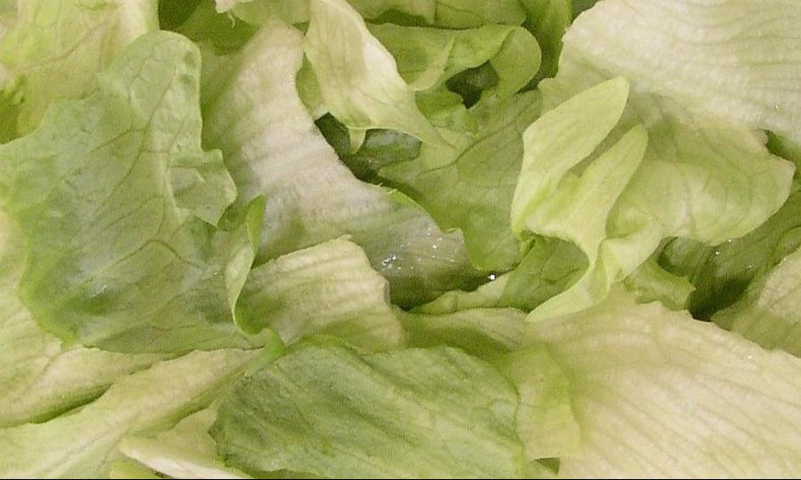 Good - Lettuce (Cut Salad)