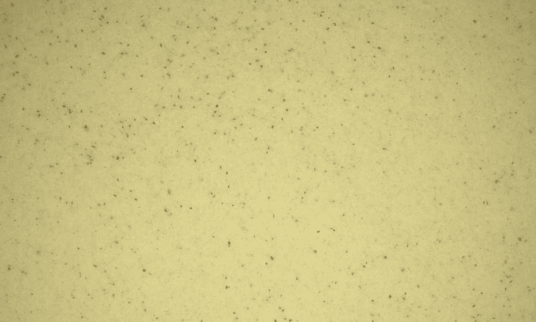 Defect - Powder Products