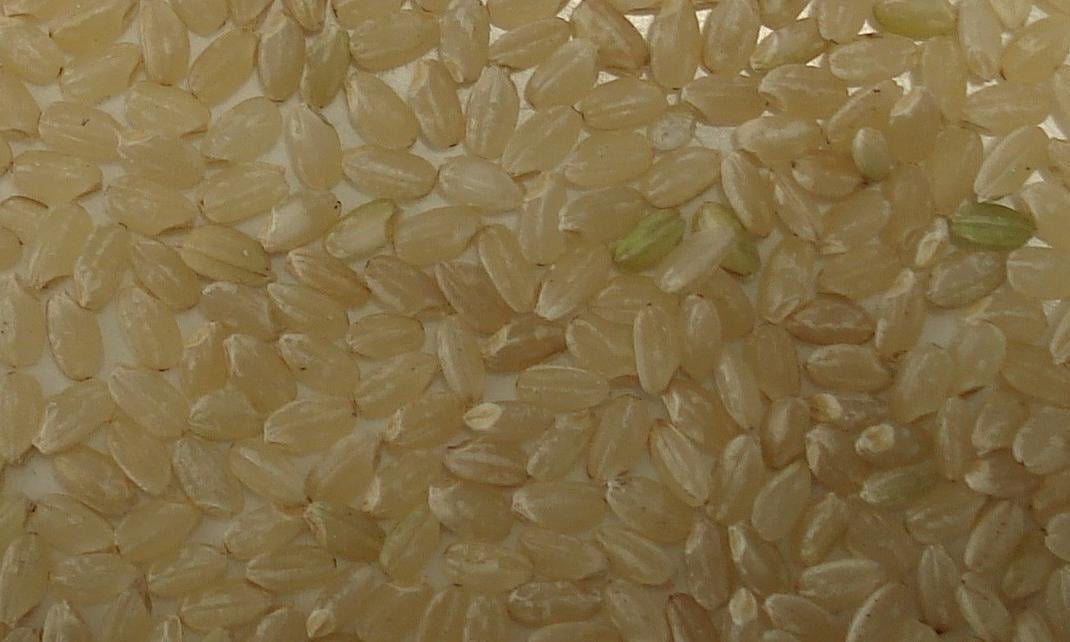 Good - Brown Rice (Unpolished Rice)