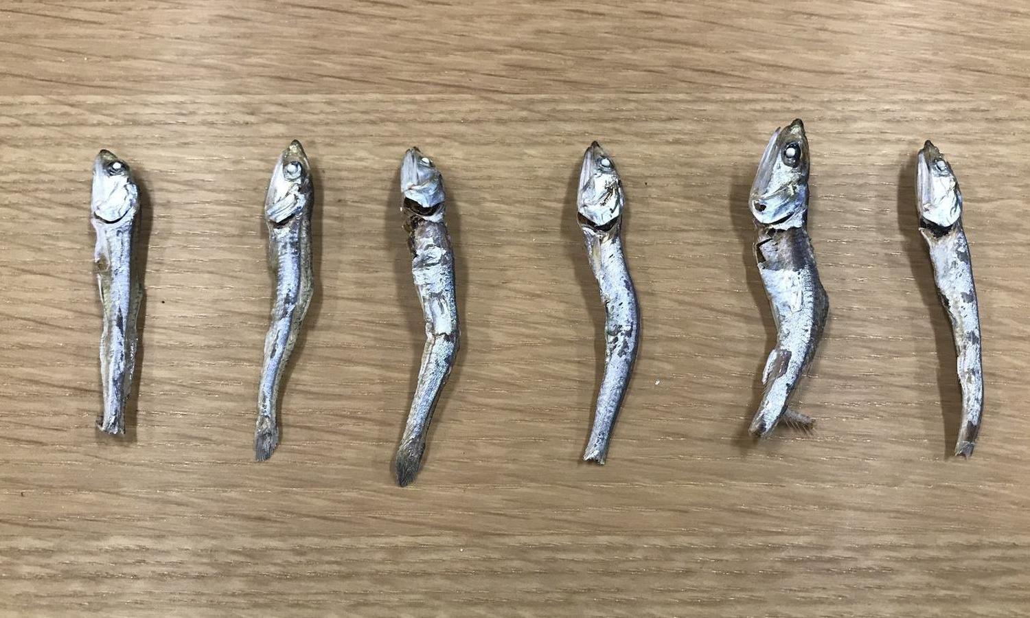 Good products - Boiled/Dried Fish (Niboshi)