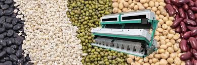 5 Tips to Maximize Your Color Sorter's Efficiency